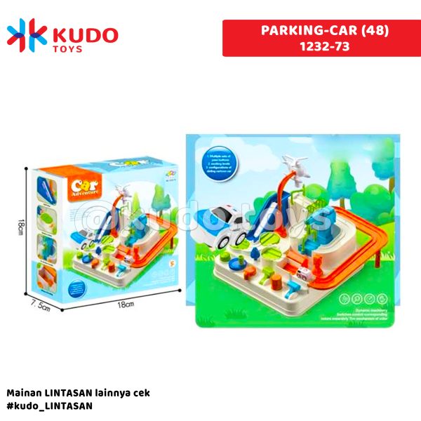 PARKING-CAR (48)