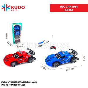 R/C CAR (96)