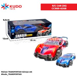 R/C CAR (36)