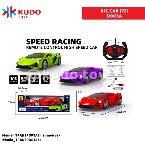 R/C CAR (72)