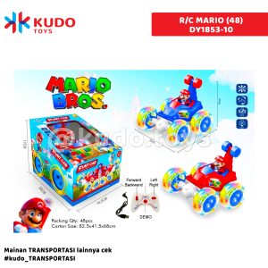 R/C MARIO (48)