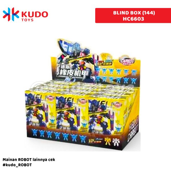 BLIND BOX (144)