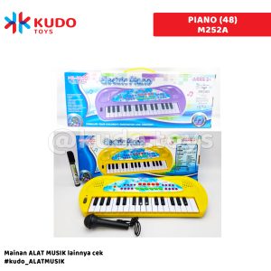 PIANO (48)