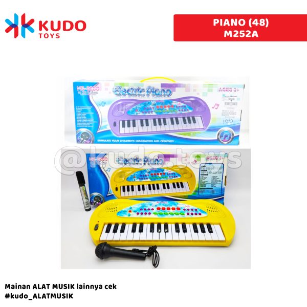 PIANO (48)