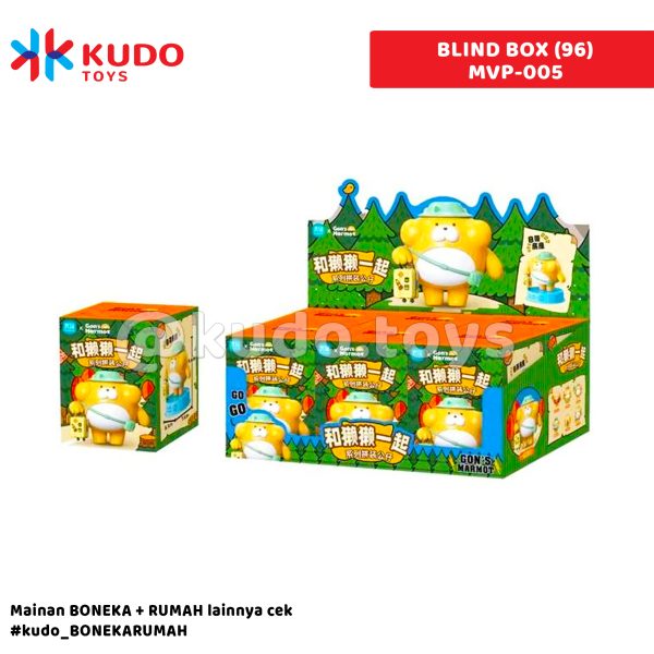 BLIND BOX (96)