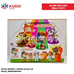 BLIND BOX (96)