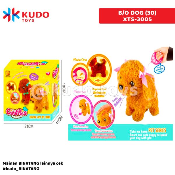 B/O DOG (30)