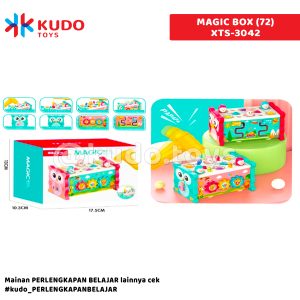 MAGIC BOX (72)
