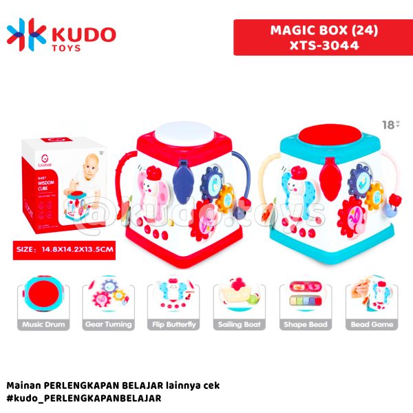 BABY WISDOM KOTAK(24)