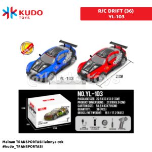 R/C DRIFT (36)