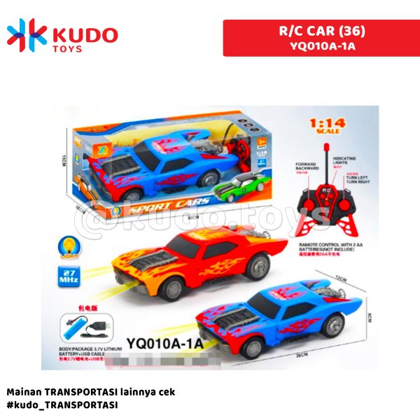 R/C CAR (36)